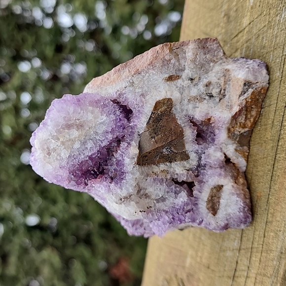 Beautiful amethyst cluster - Picture 11 of 14
